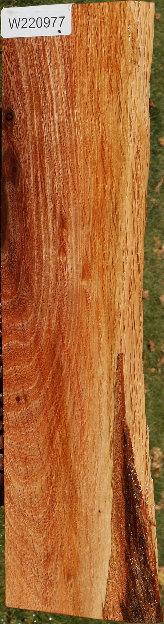 Beefwood Live Edge Lumber