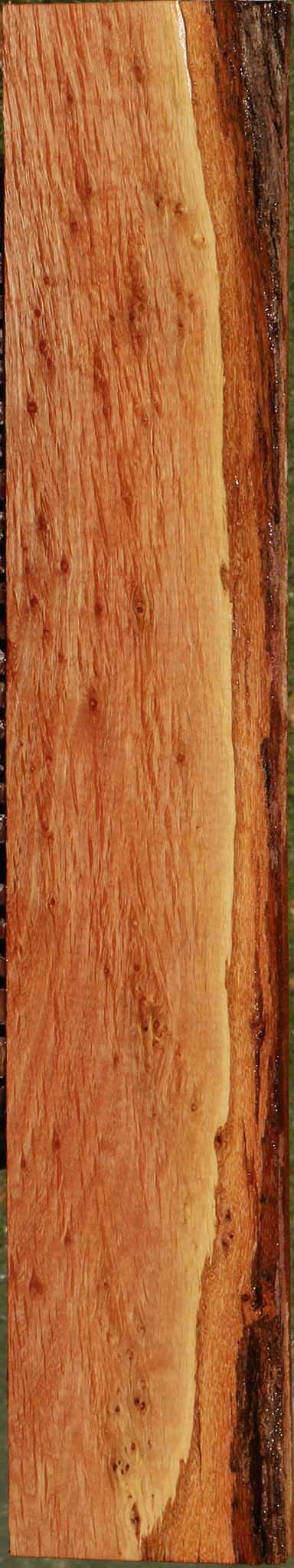 Beefwood Lumber