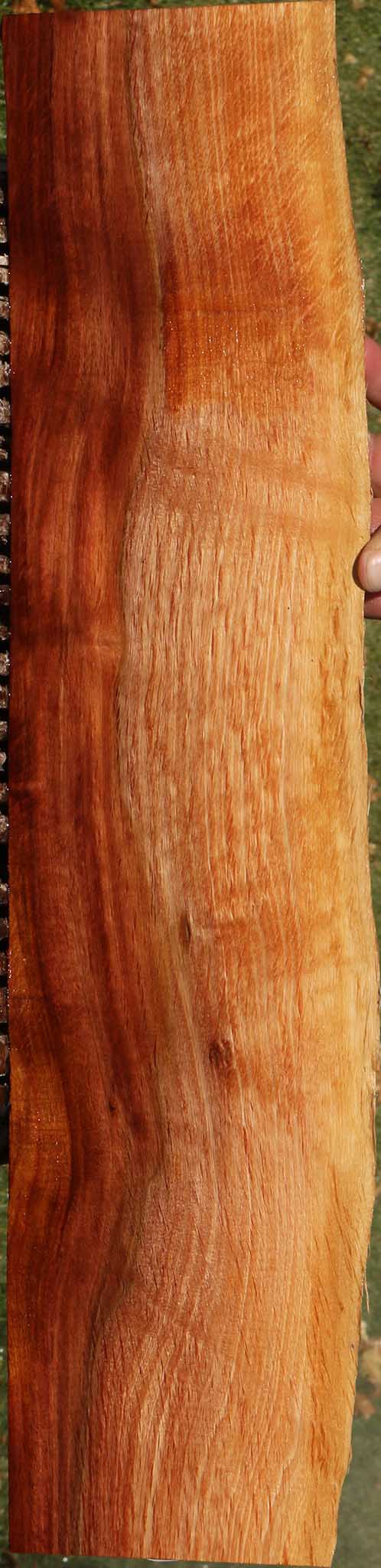 Beefwood Live Edge Lumber