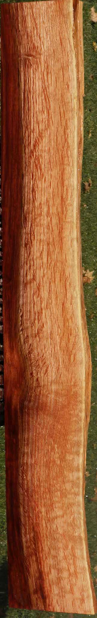 Beefwood Live Edge Micro Lumber