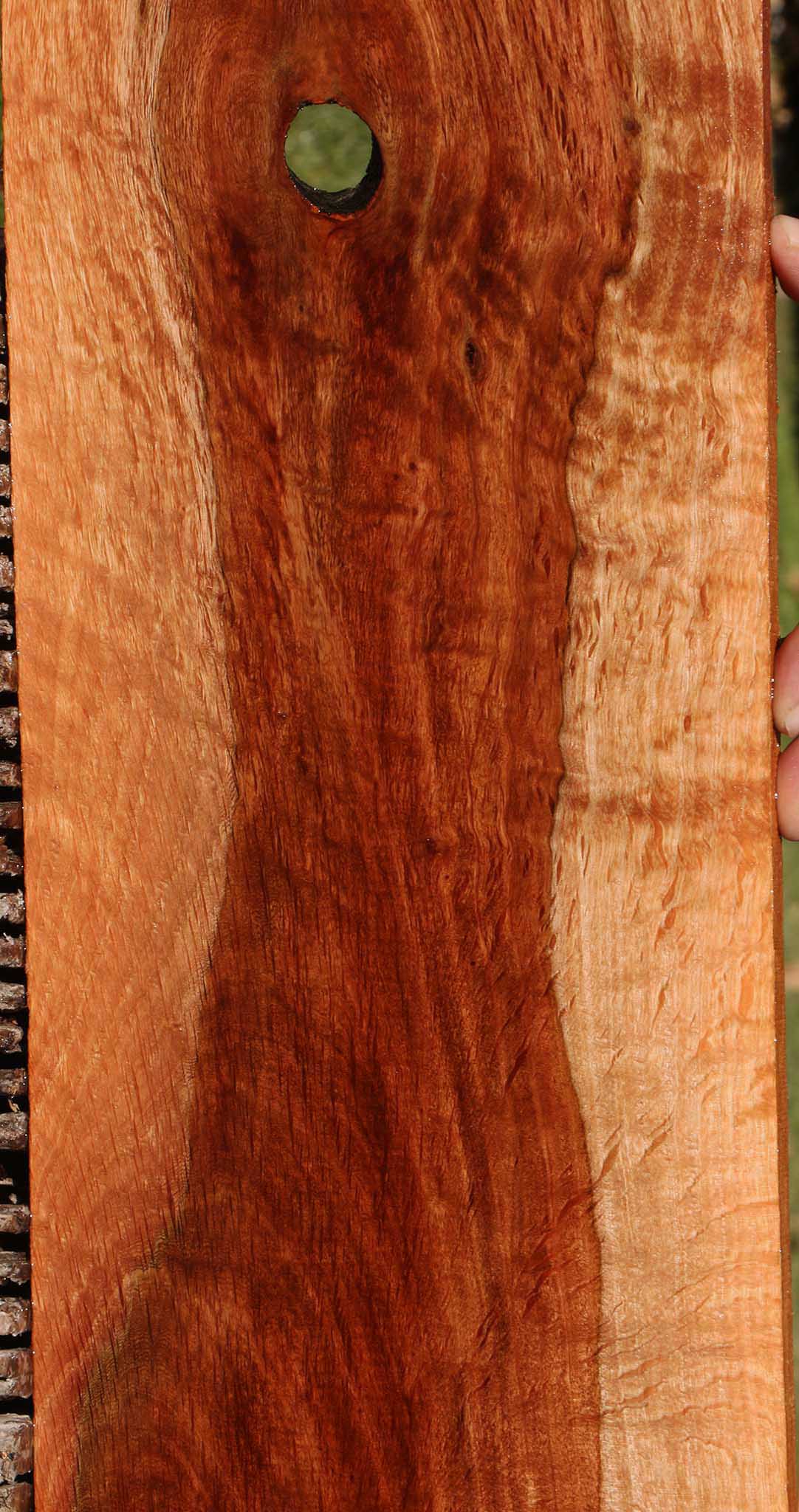 Beefwood Micro Lumber
