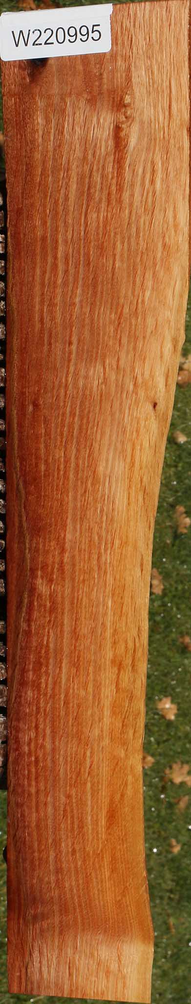 Beefwood Live Edge Lumber