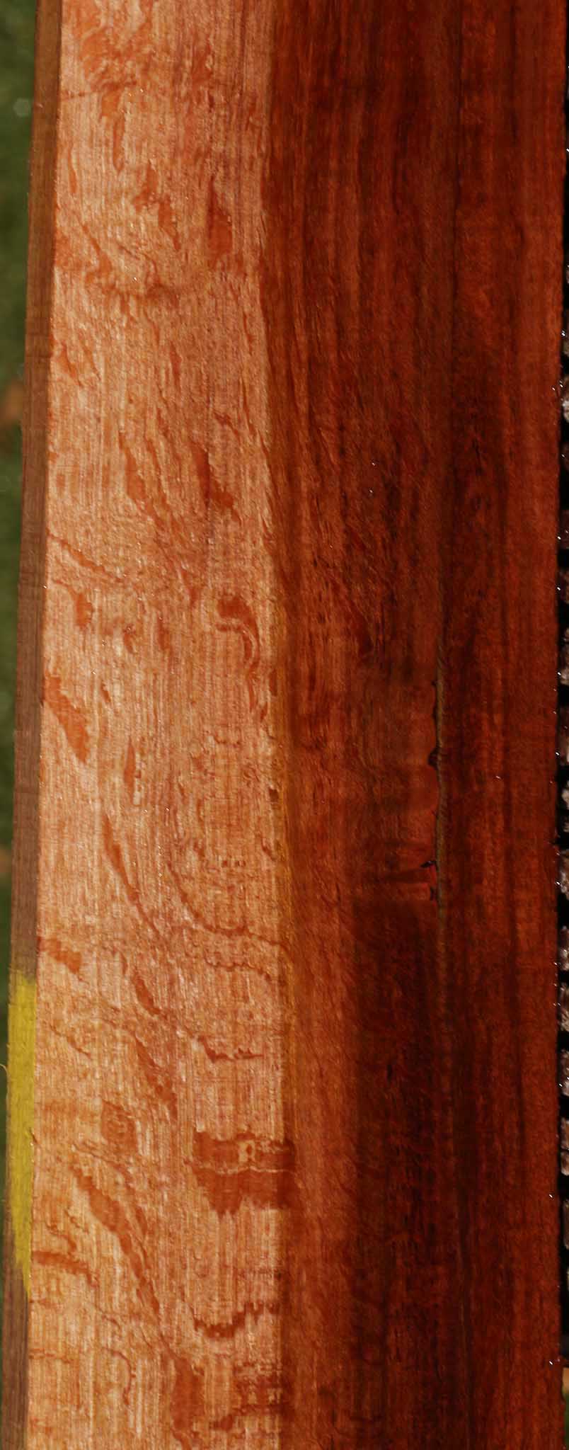 Beefwood Micro Lumber