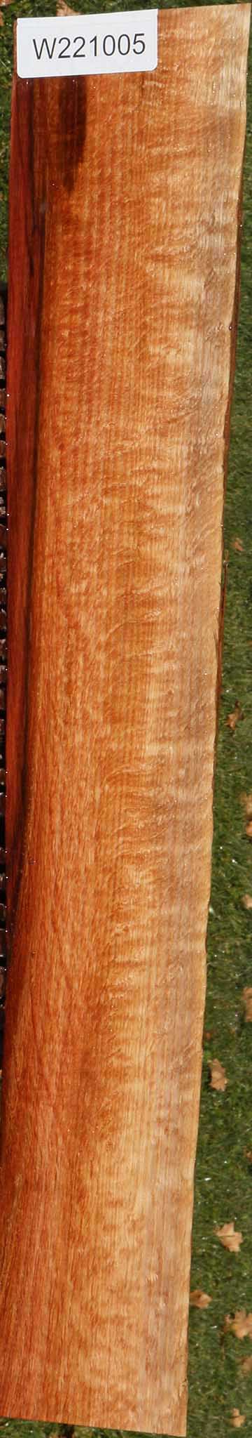 Beefwood Live Edge Micro Lumber