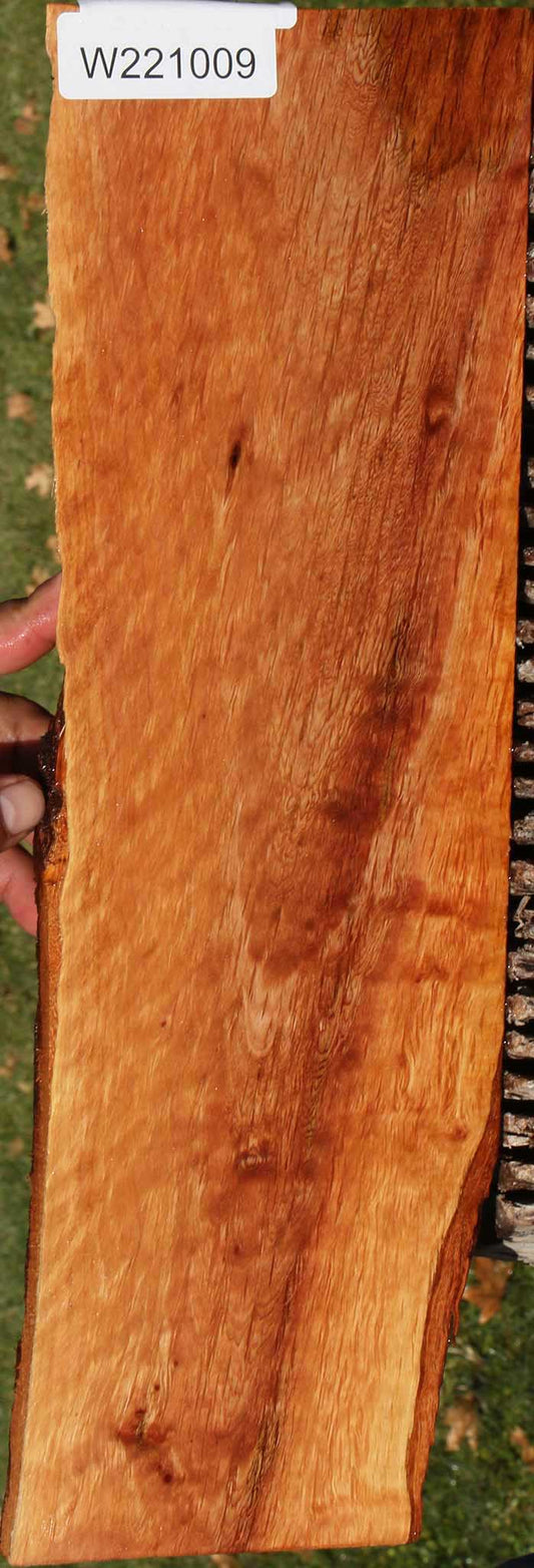 Beefwood Live Edge Lumber