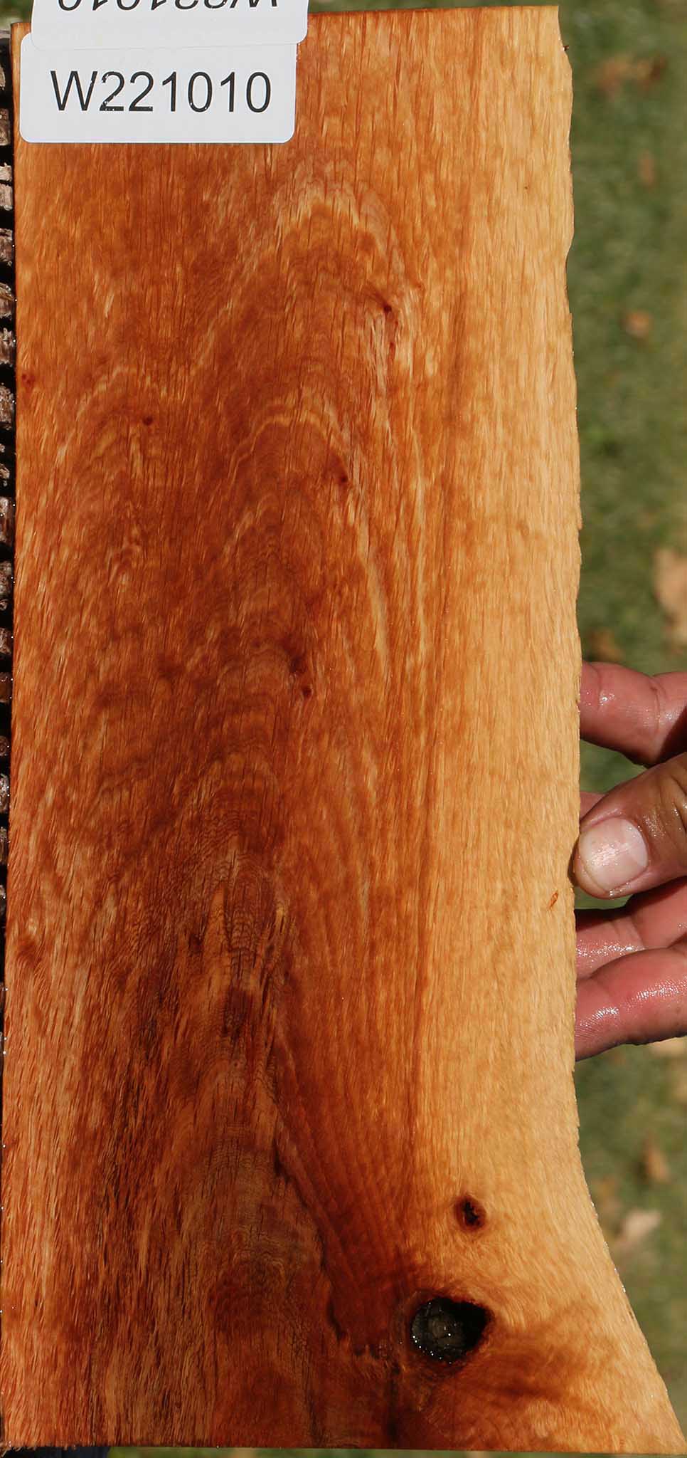 Beefwood Live Edge Lumber