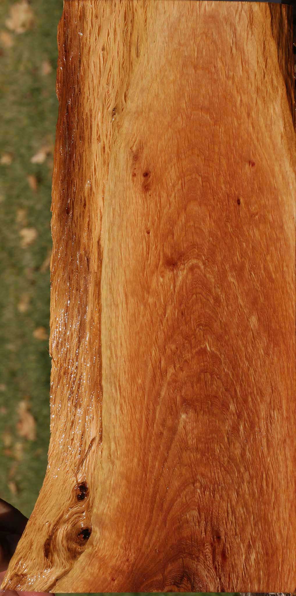 Beefwood Live Edge Lumber