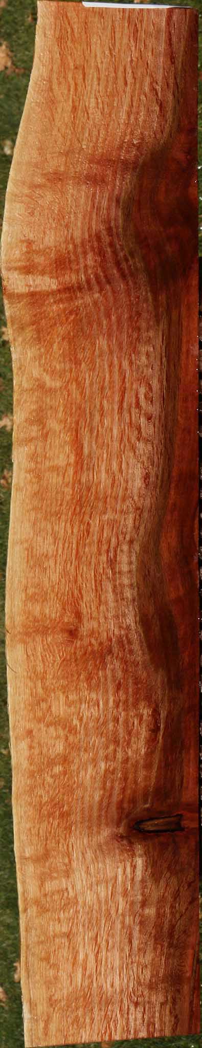 Beefwood Live Edge Micro Lumber