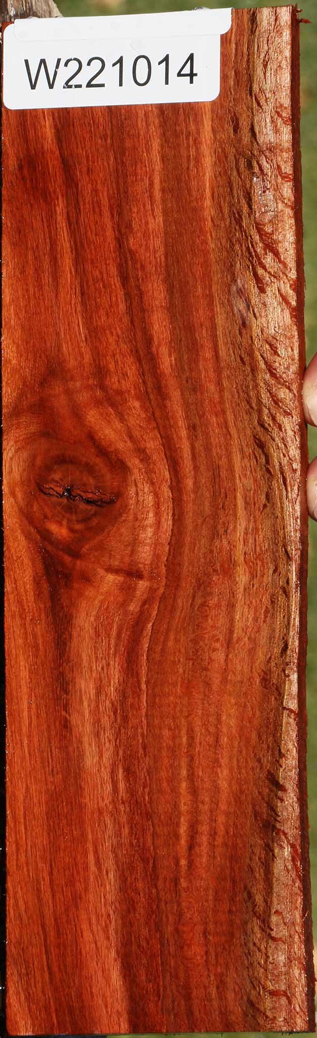 Beefwood Live Edge Micro Lumber