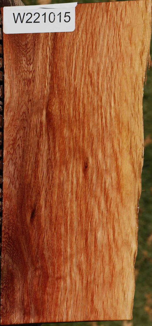 Beefwood Live Edge Lumber