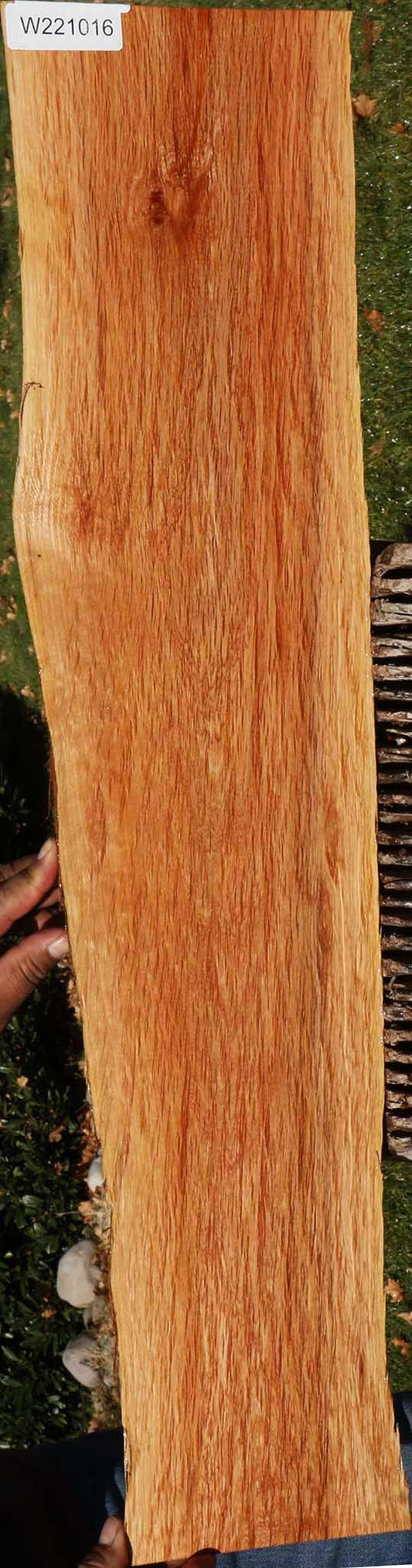 Beefwood Live Edge Micro Lumber