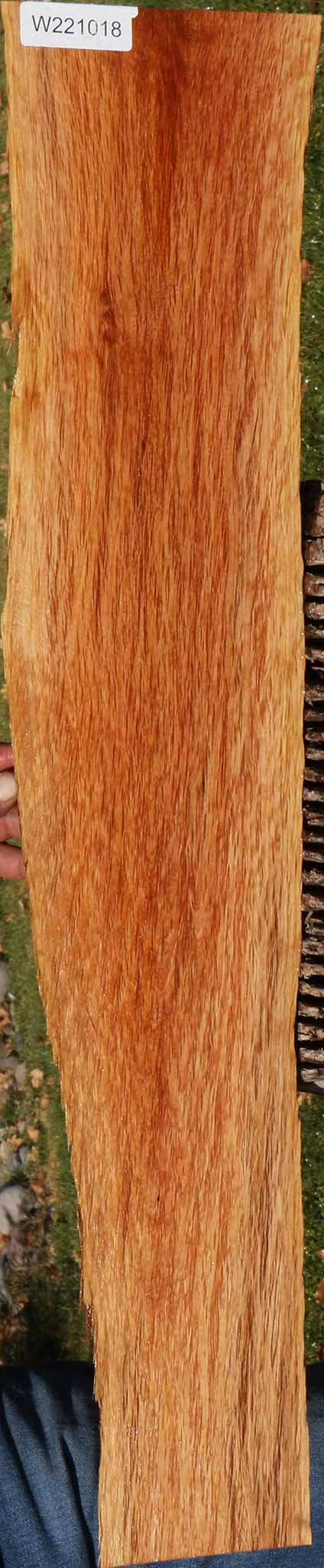 Beefwood Live Edge Micro Lumber