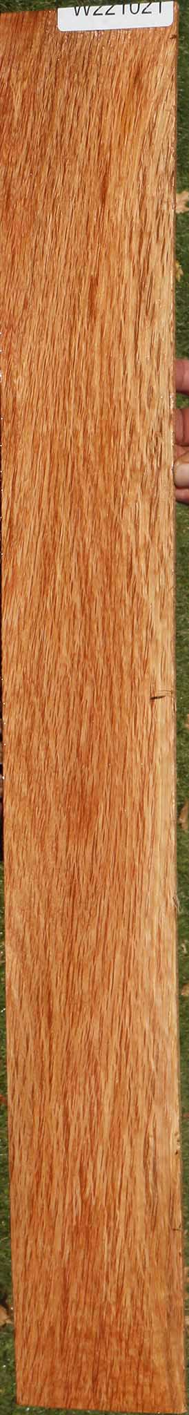 Beefwood Micro Lumber