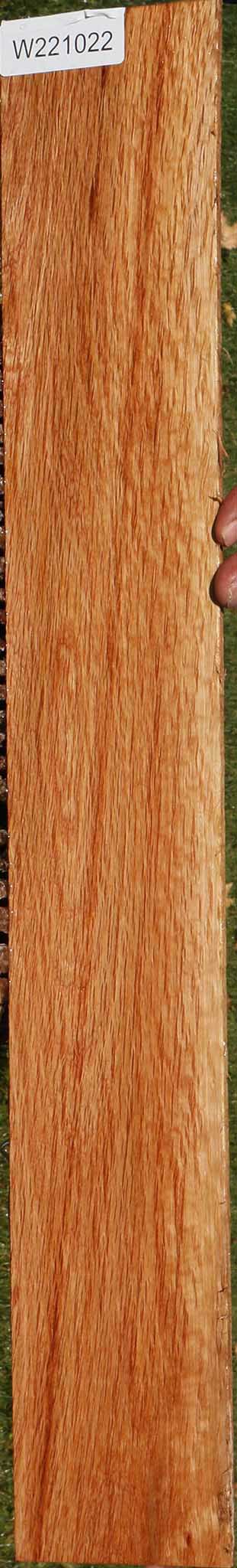 Beefwood Micro Lumber