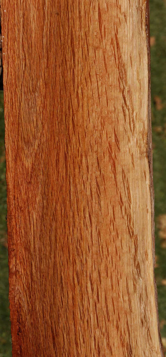 Beefwood Live Edge Micro Lumber