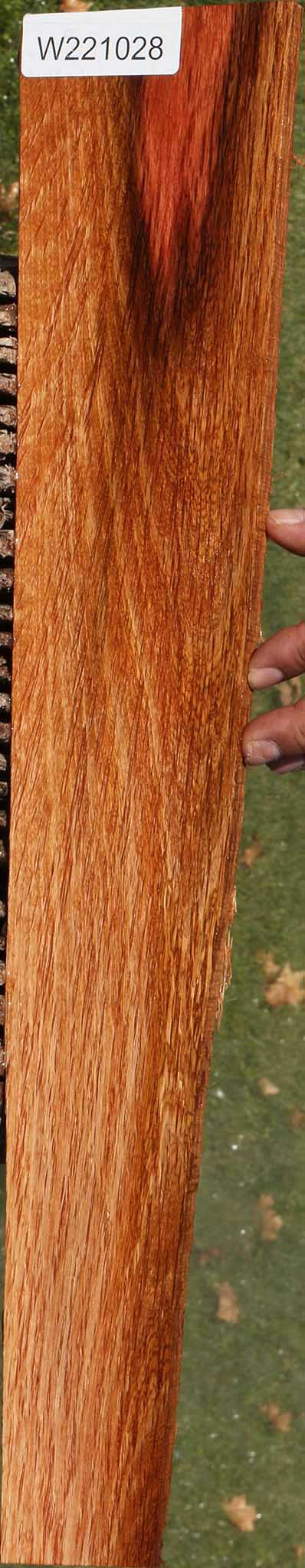 Beefwood Micro Lumber