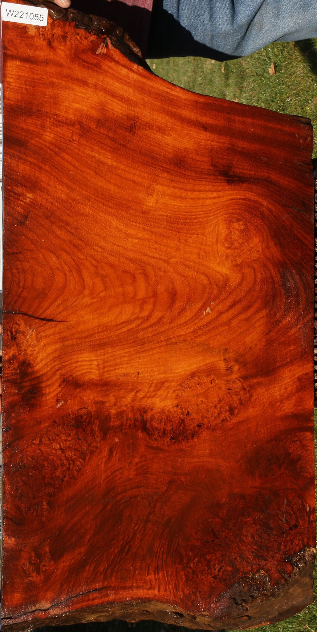 Figured Rustic Afzelia Live Edge Lumber