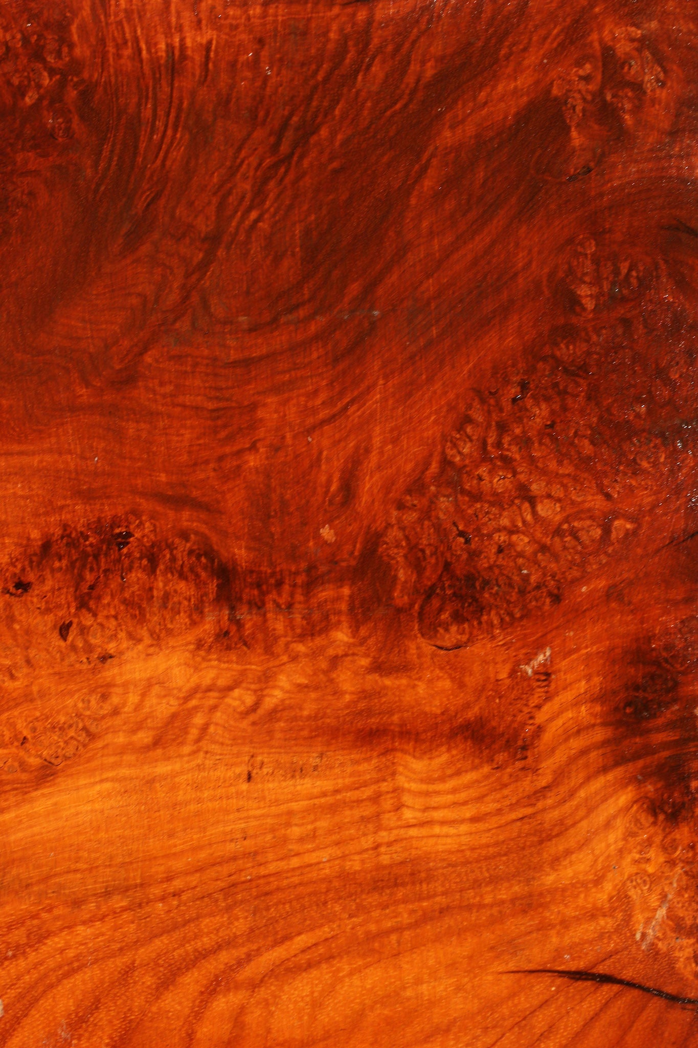 Figured Rustic Afzelia Live Edge Lumber