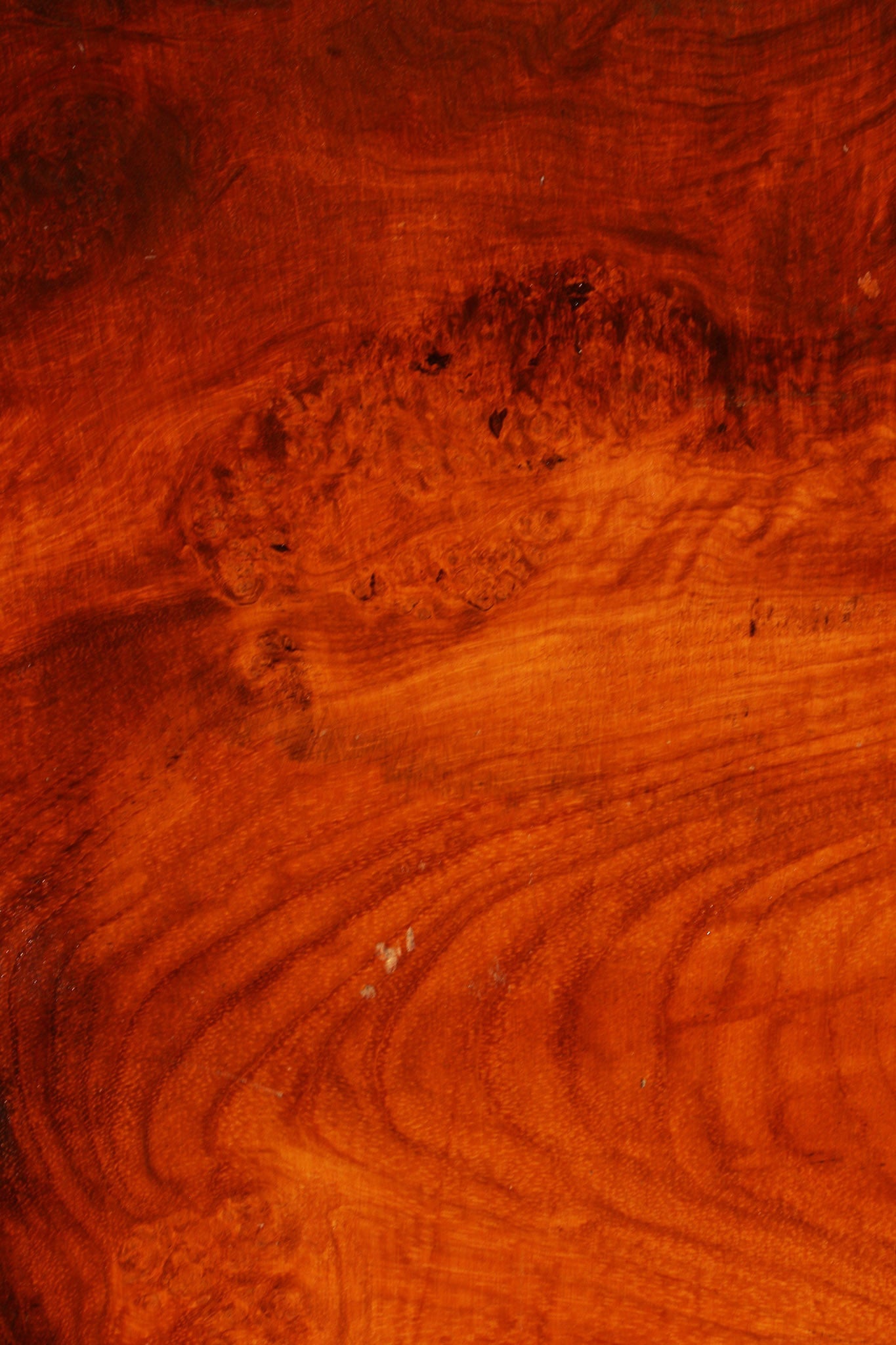 Figured Rustic Afzelia Live Edge Lumber