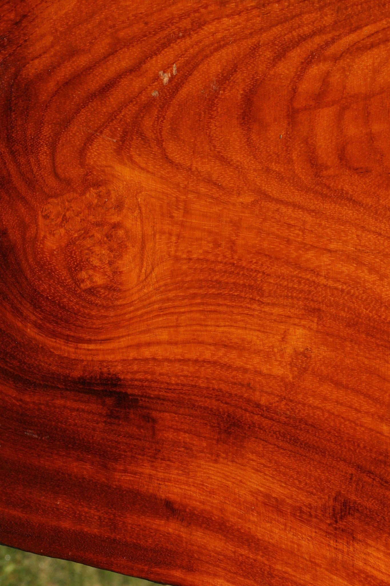 Figured Rustic Afzelia Live Edge Lumber