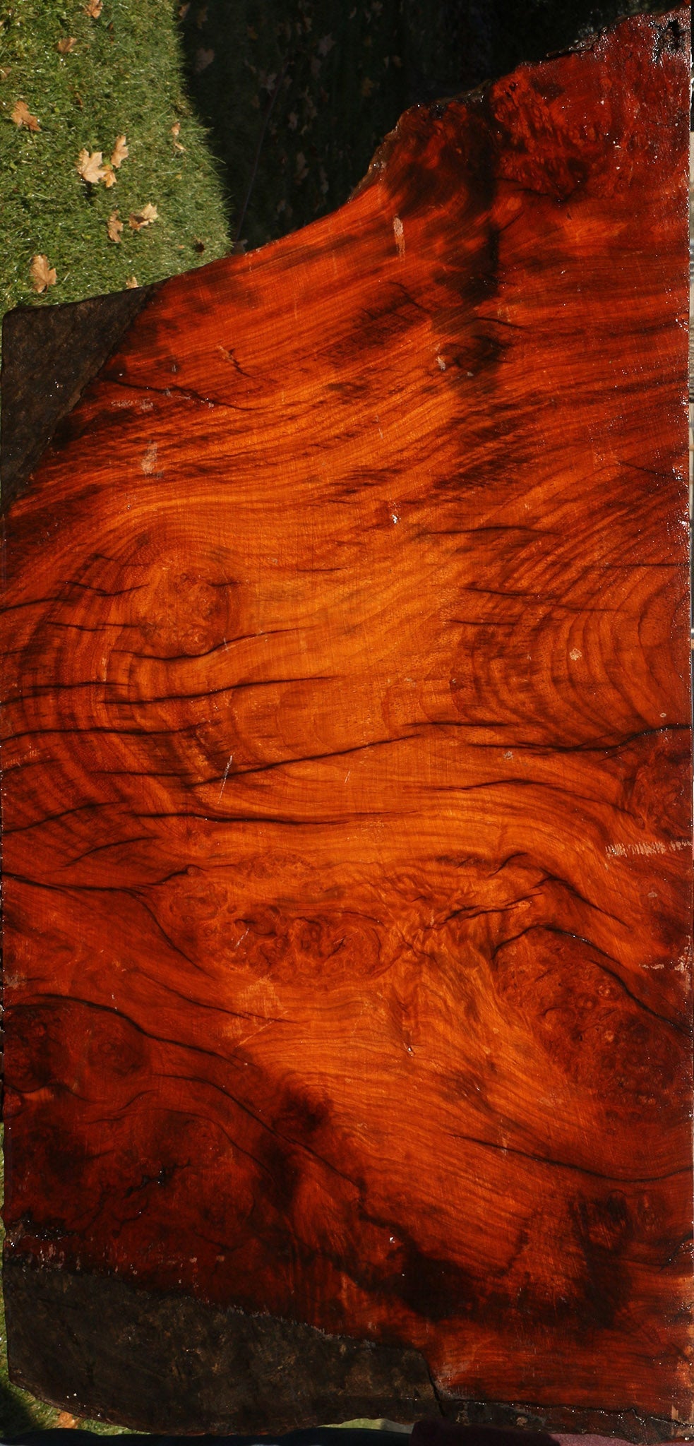Figured Rustic Afzelia Live Edge Lumber
