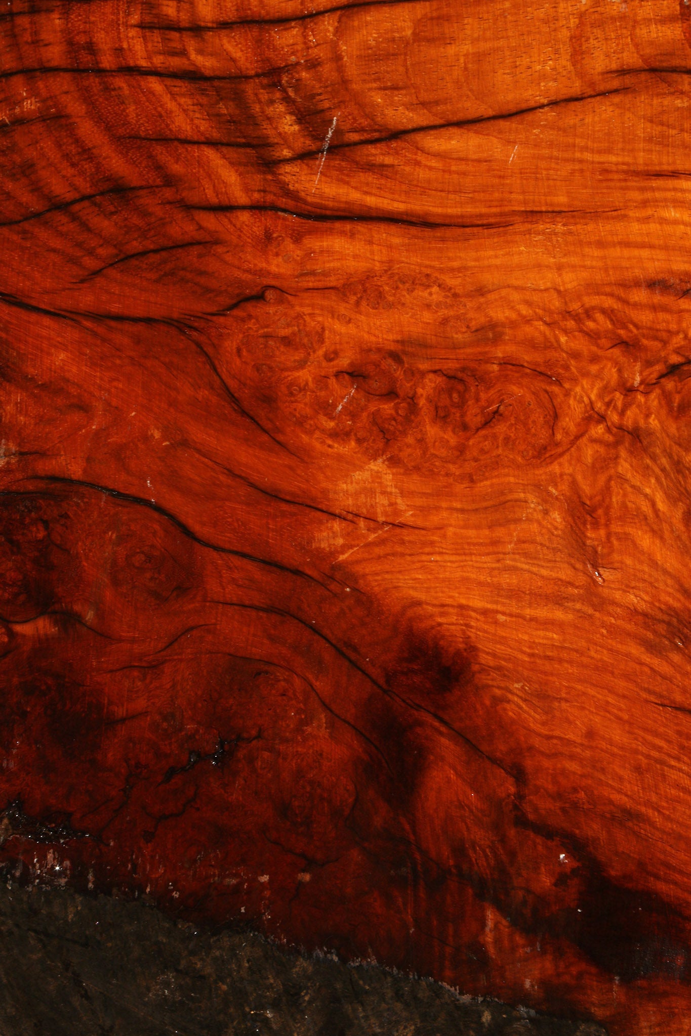 Figured Rustic Afzelia Live Edge Lumber