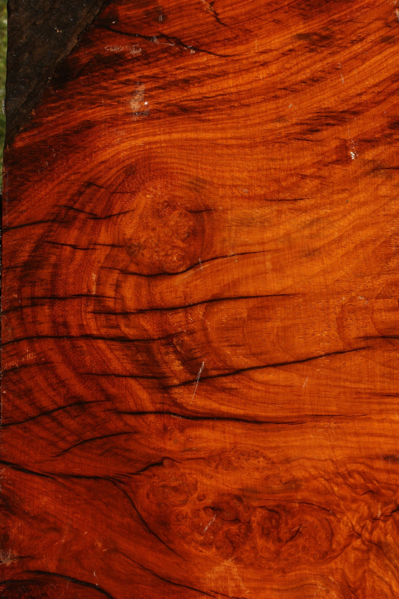 Figured Rustic Afzelia Live Edge Lumber