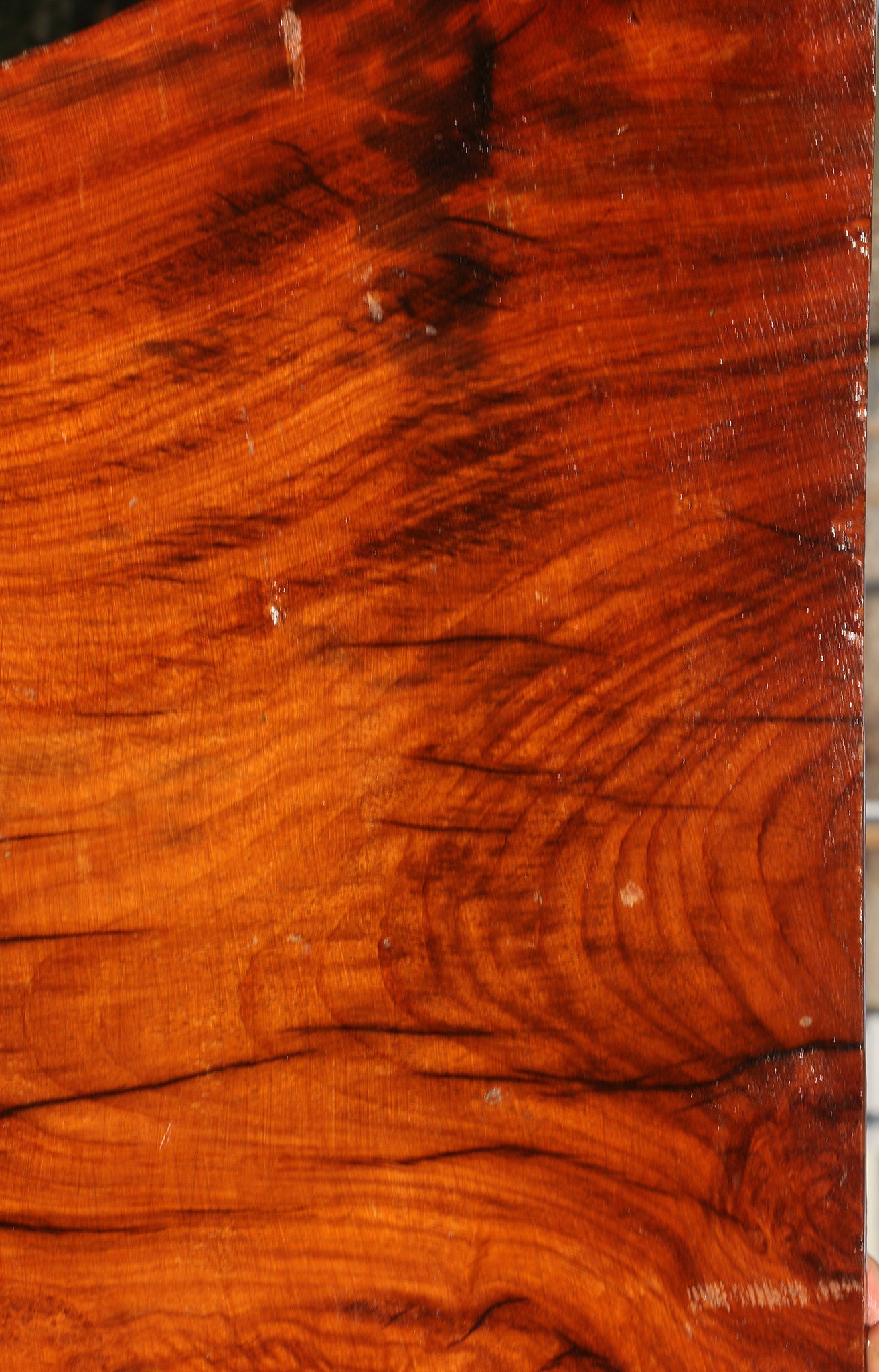 Figured Rustic Afzelia Live Edge Lumber