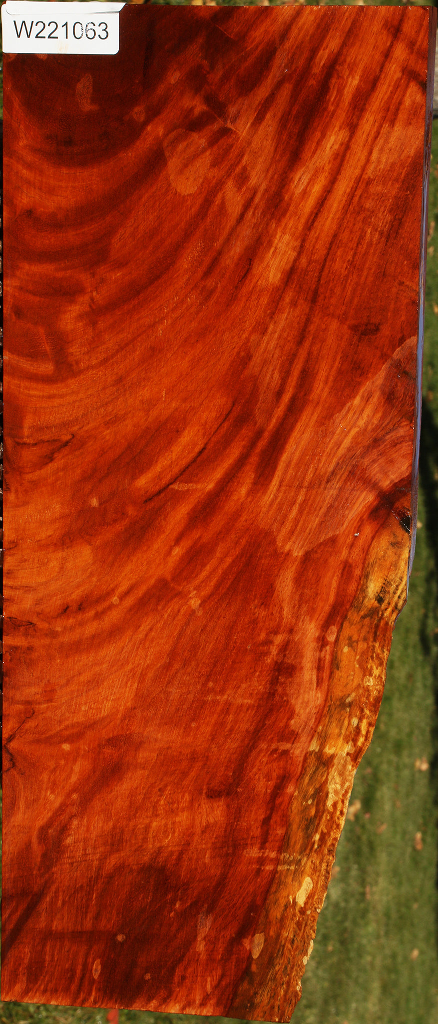 Figured Afzelia Lumber