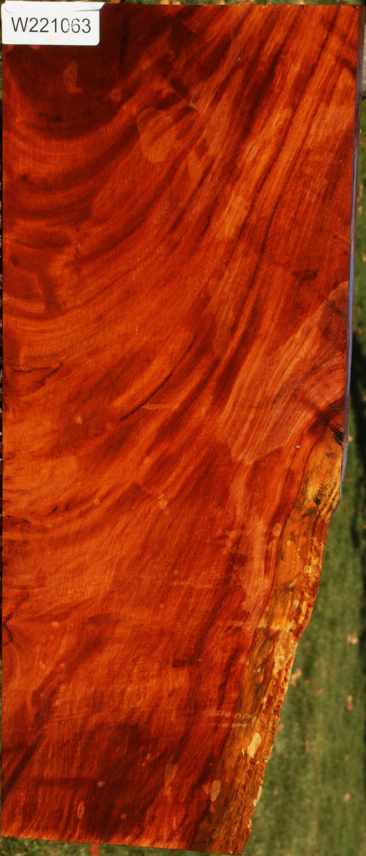 Figured Afzelia Lumber