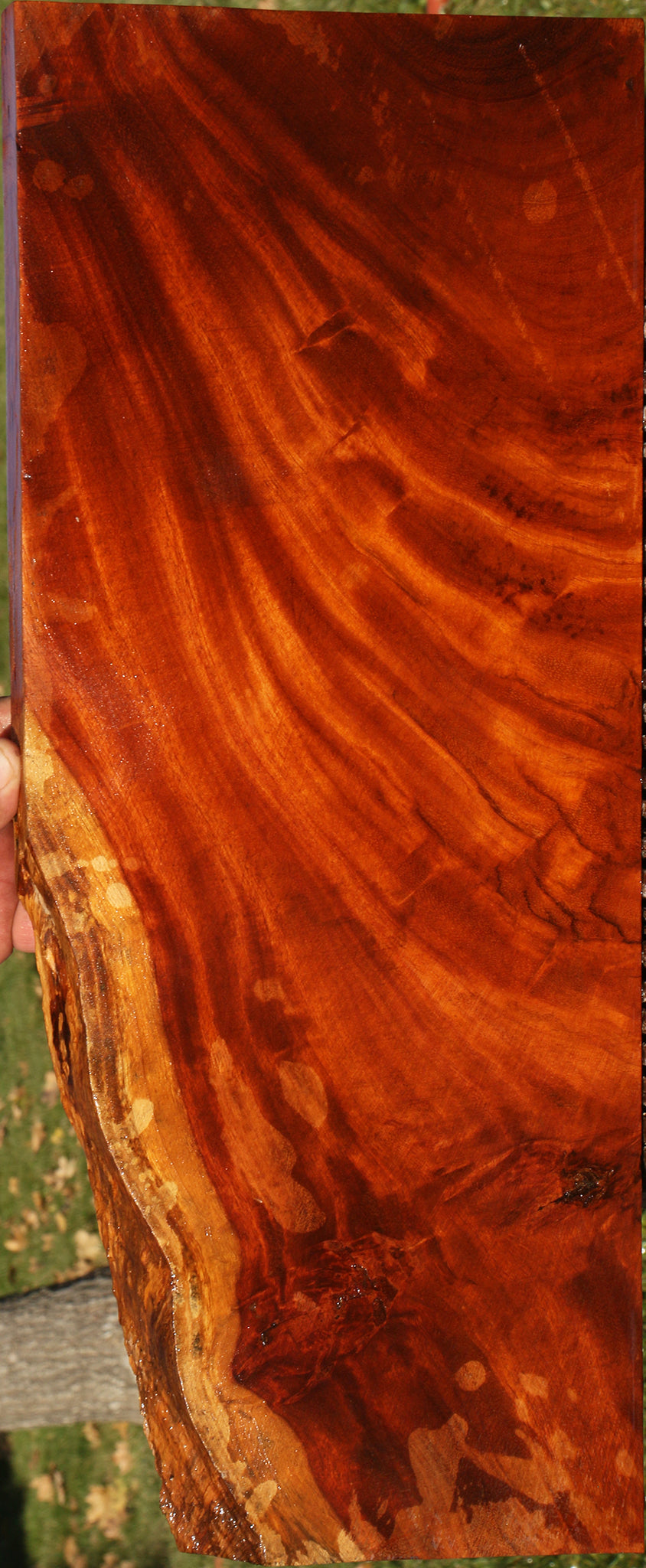 Figured Afzelia Lumber