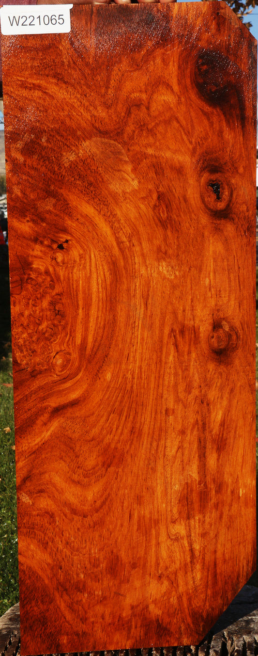 Figured Afzelia Lumber