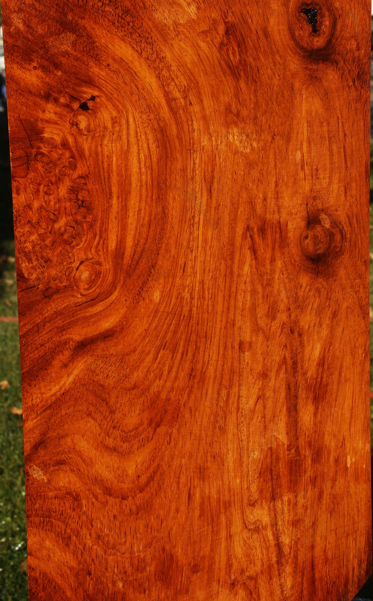 Figured Afzelia Lumber