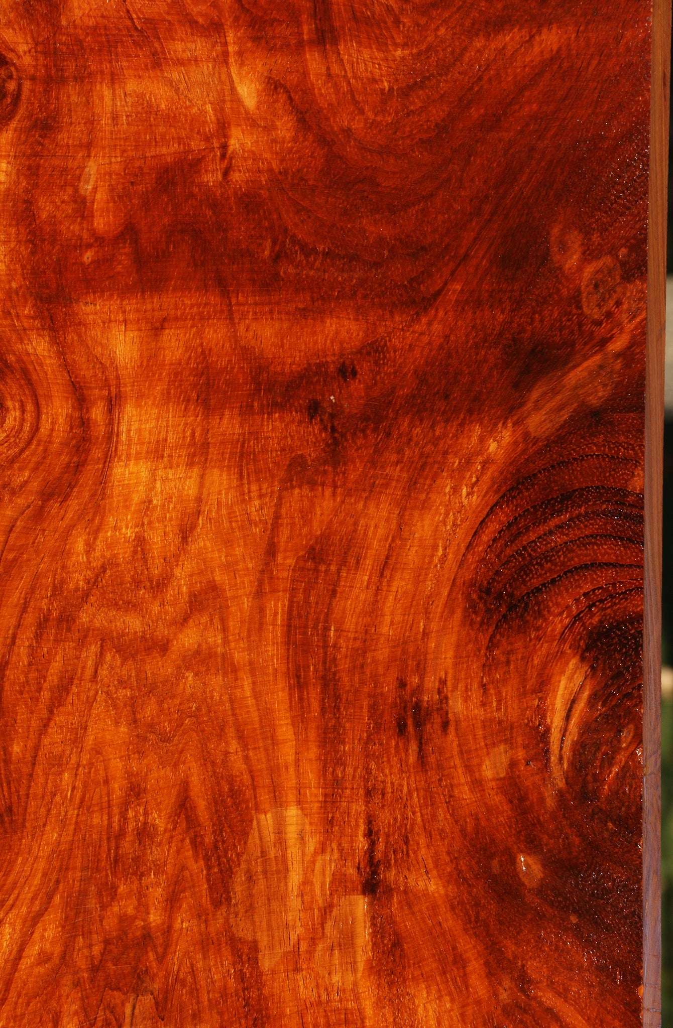 Figured Afzelia Lumber