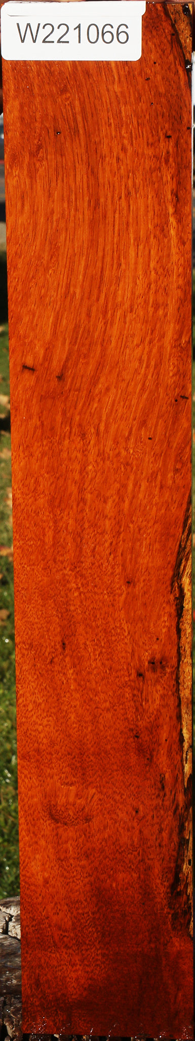 Figured Afzelia Lumber