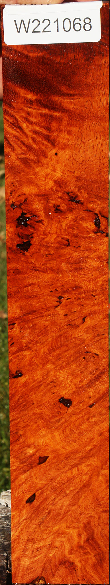 Figured Rustic Afzelia Lumber