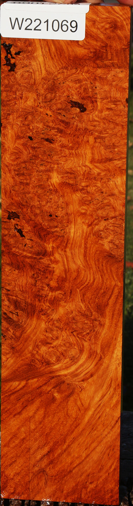 Afzelia Burl Lumber