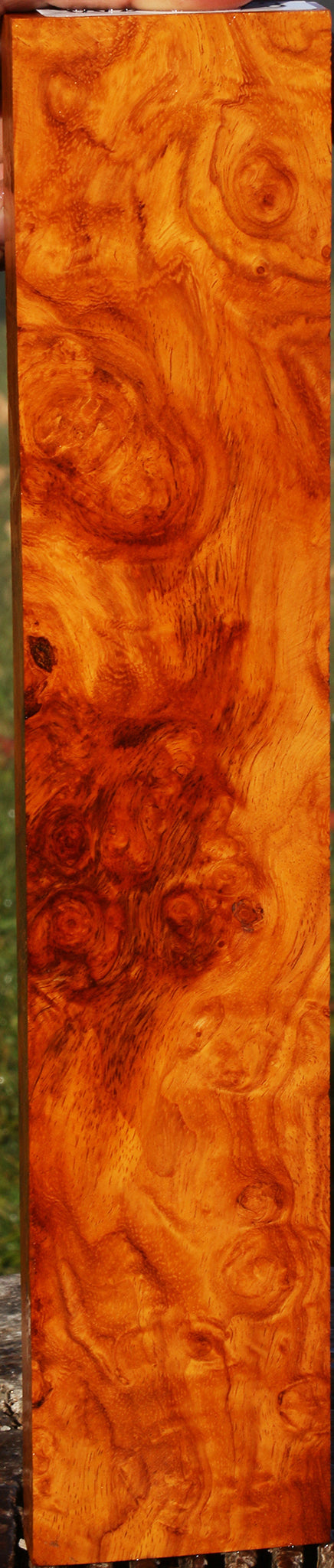 Afzelia Burl Lumber