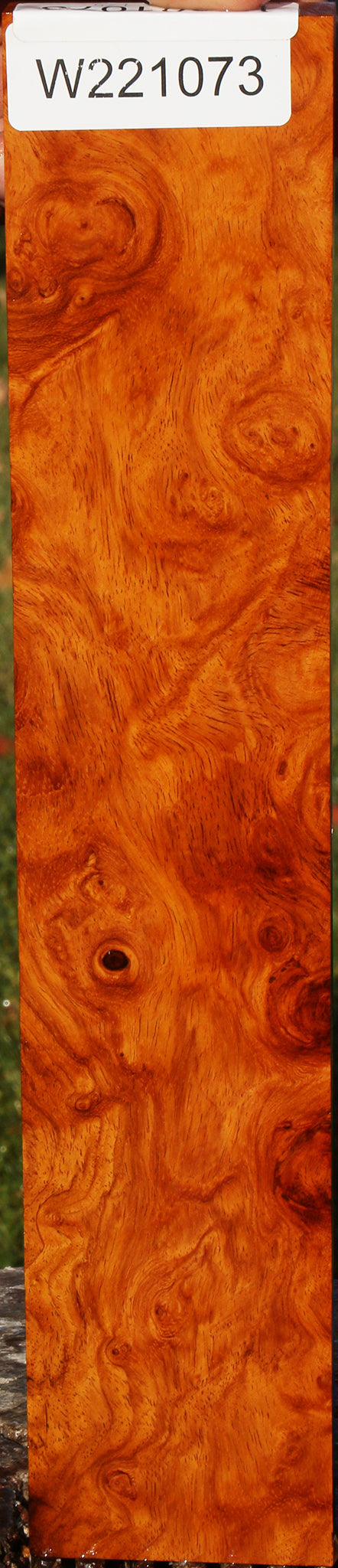 Afzelia Burl Lumber