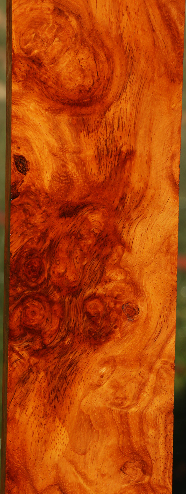 Afzelia Burl Lumber