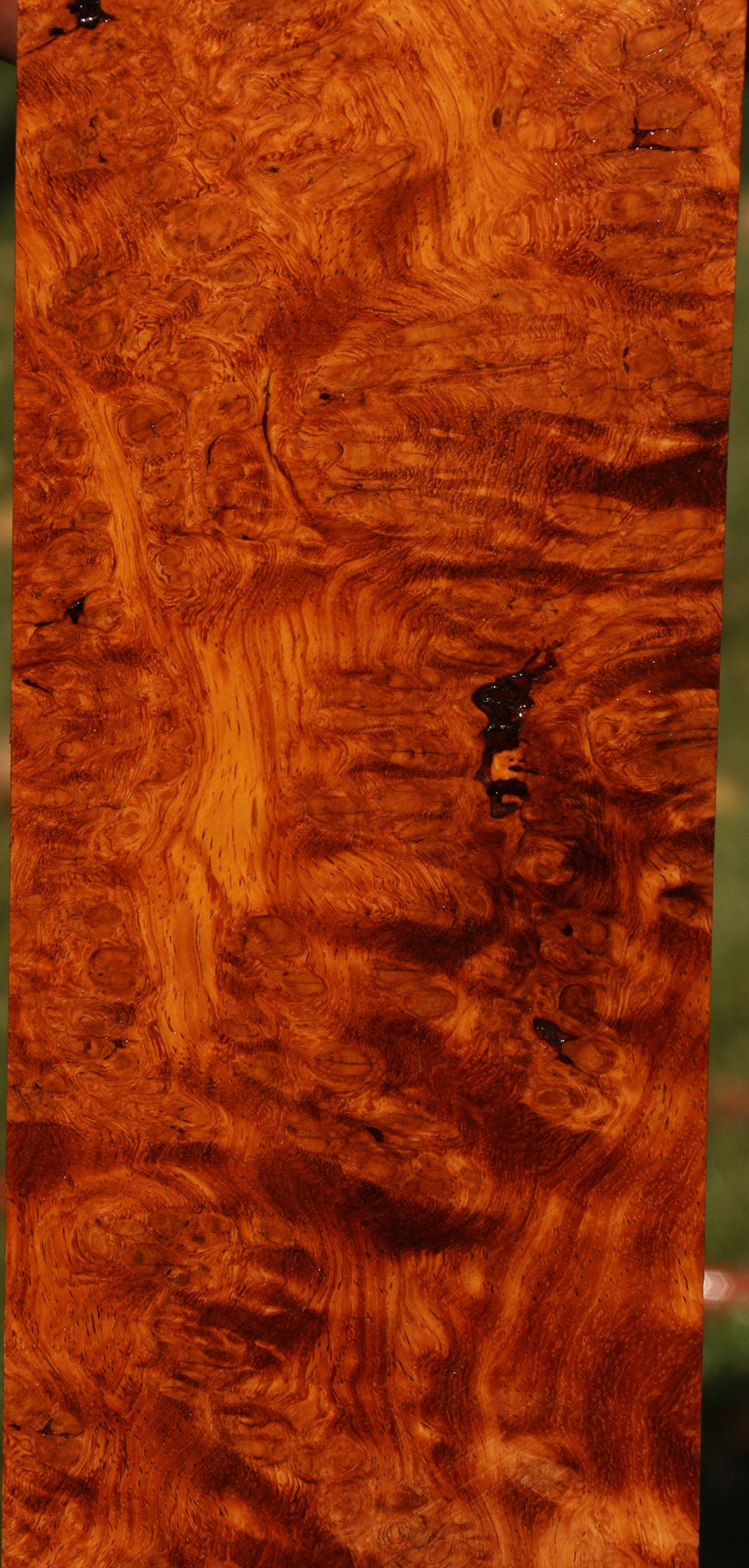 Afzelia Burl Lumber – Cook Woods