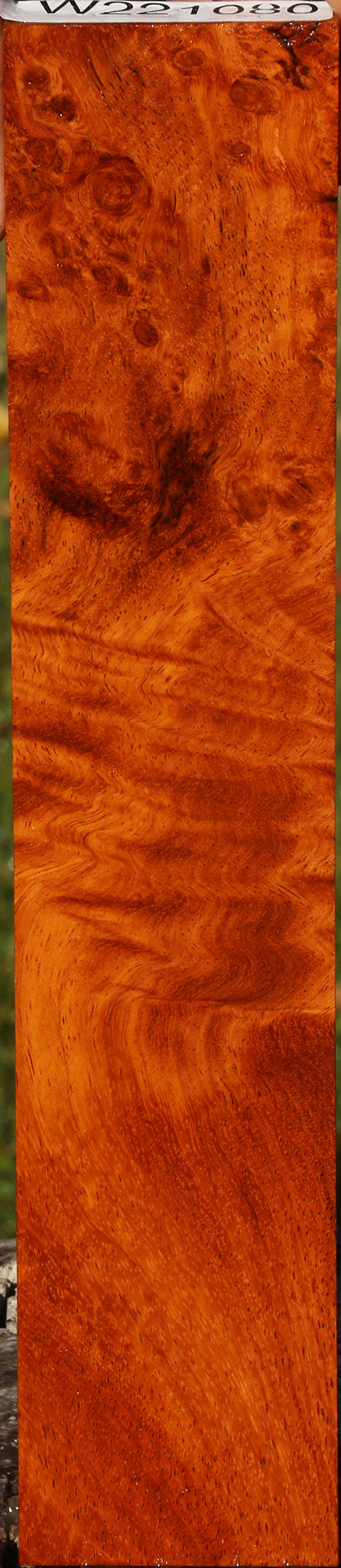 Figured Afzelia Lumber