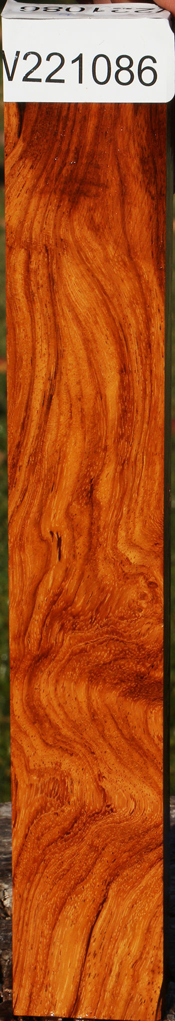 Figured Afzelia Lumber