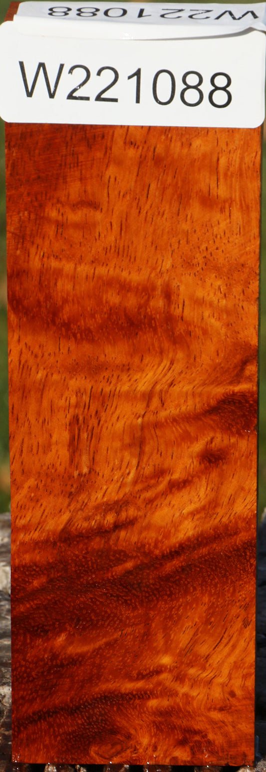 Figured Afzelia Lumber