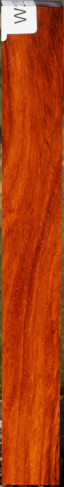 Figured Afzelia Turning Square