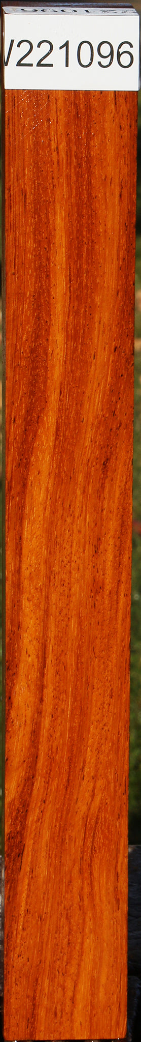 Figured Afzelia Turning Square