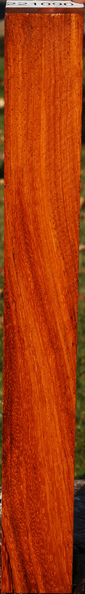 Figured Afzelia Turning Square