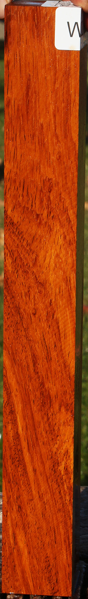 Figured Afzelia Turning Square