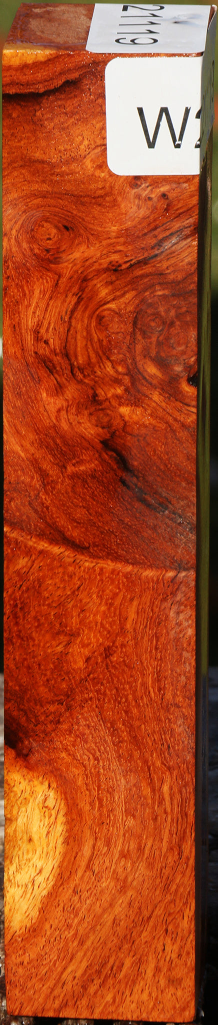 Figured Afzelia Burl Turning Square