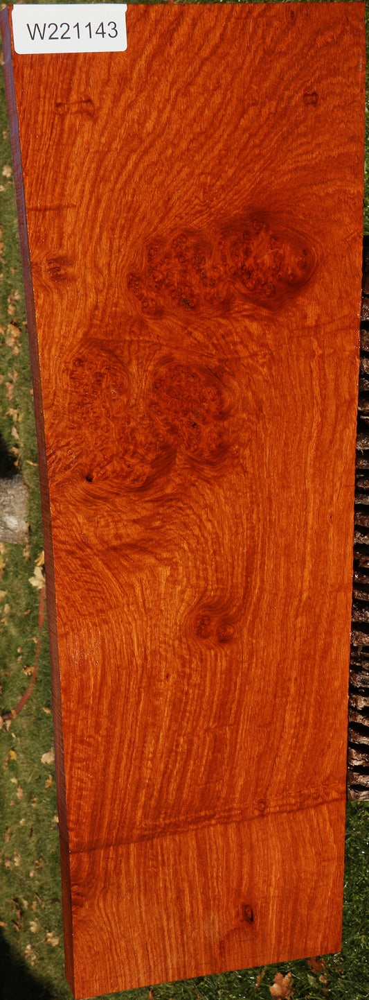 Figured Afzelia Burl Lumber